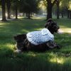 Chic Bow Bliss, confident puppy in Bold Brights polyamide, elegant back bow, Urban Minimal feel