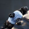 Chic Bow Bliss, adventurous kitten in Bold Brights wool, elegant bow, Urban Minimal spirit