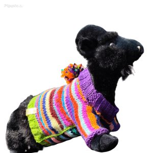 Cozy Critter Carnival