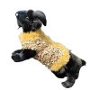 Gold Rush Couture soft beige and gold pet jumpsuit turning everyday walks into mini adventures of style