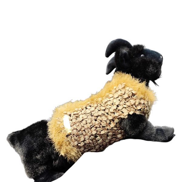 Gold Rush Couture elegant dog sweater with soft golden fabric and fluffy spine trim for confident pets