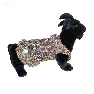 Golden Paws Prestige