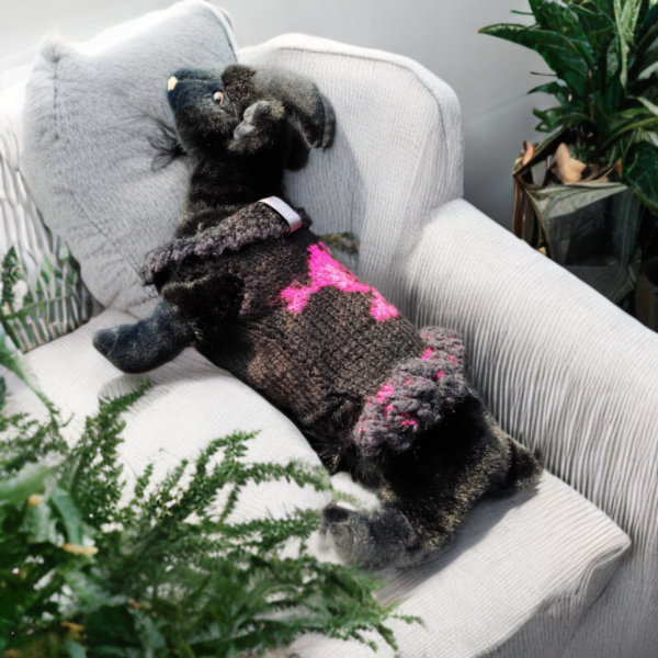 Rebel Elegance stylish outfit for cats and dogs with vibrant pink accents and soft black fabric for comfort