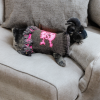 Rebel Elegance chic pet clothing combining freedom of movement and colorful details for active cats and dogs