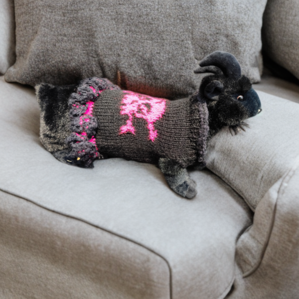 Rebel Elegance chic pet clothing combining freedom of movement and colorful details for active cats and dogs