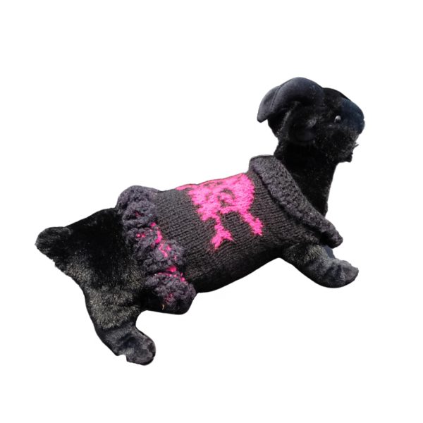 Rebel Elegance fashionable pet clothing in black and pink highlighting charisma and joy for cats and dogs