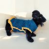 Sprout Explorer soft textured wool sweater with plush yellow paw accents, playful mood