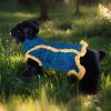 Sprout Explorer vibrant green-blue knit with airy detailing and comfortable pet cut
