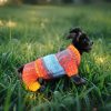 Striped Snuggle Suite premium designer dog jumpsuit in vibrant tones, ideal for photoshoots and fashionable outdoor walks