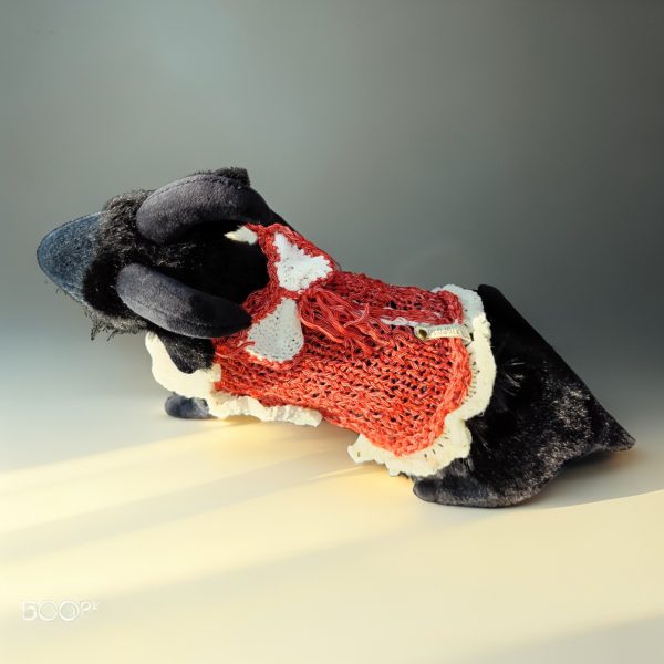 Tiny Tornado knitted sweater for pets, soft acrylic, red with white accents, playful and bold personality