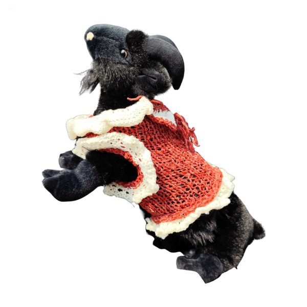 Tiny Tornado knitted pet sweater, red base with white details, frills on paws, playful and bold look