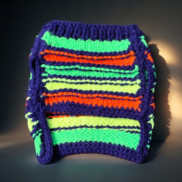 Youthful Stripe Fling vibrant sweater for pets turning walks and indoor play into joyful celebrations