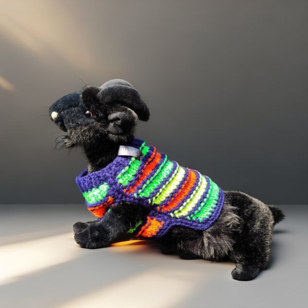 Youthful Stripe Fling designer pet outfit with playful stripes for active and happy cats and dogs