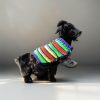 Youthful Stripe Fling stylish pet clothing with bright multicolor stripes for energetic cats and dogs