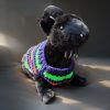 Youthful Stripe Fling colorful pet outfit for beloved cats and dogs highlighting personality and joyful motion