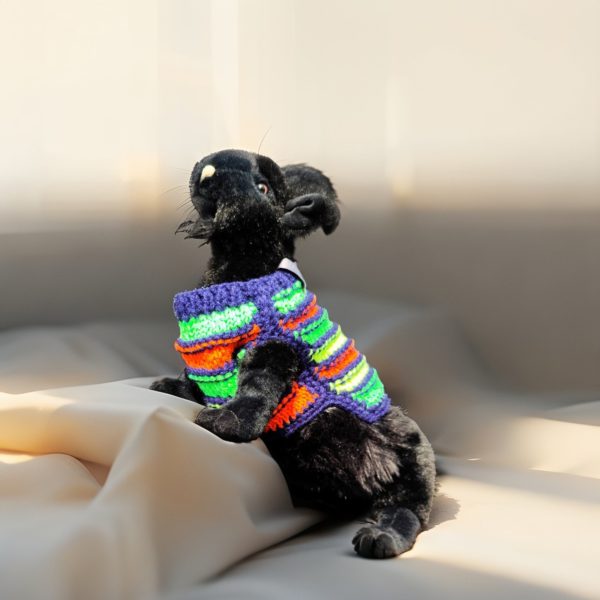 Youthful Stripe Fling designer sweater for cats and dogs with bright stripes and lightweight, soft texture
