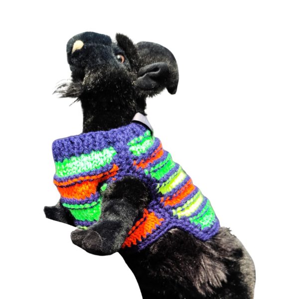 Youthful Stripe Fling designer sweater highlighting individuality and movement for cats and dogs
