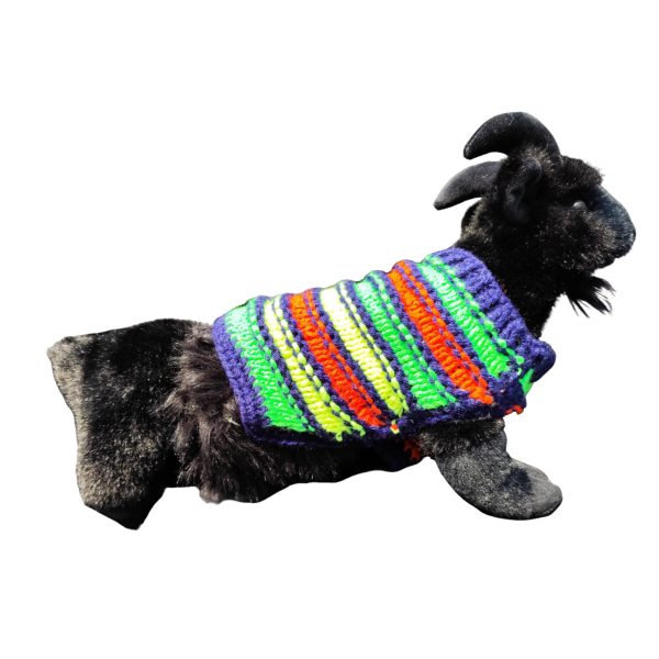 Youthful Stripe Fling cozy and breathable sweater for cats and dogs with lively yellow, green, and orange tones