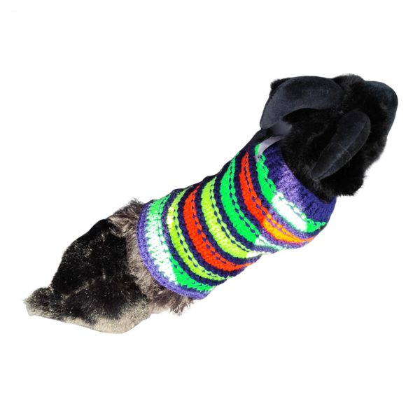 Youthful Stripe Fling colorful pet clothing with bright stripes accentuating personality and playful flair