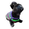 Youthful Stripe Fling stylish cat and dog sweater with compact colorful design for energetic companions